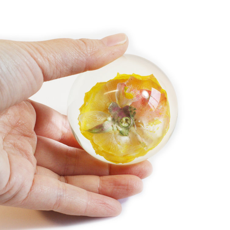 Rosalind Wheeler Proto Yellow Rose Globe Wayfair